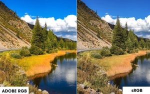 sRGB hay Adobe RGB – Lựa chọn phụ thuộc vào nhu cầu