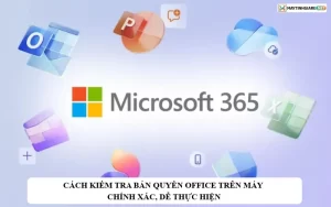 cach kiem tra ban quyen office tren may tinh chinh xac de thuc hien